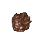 Meandering Mushroom